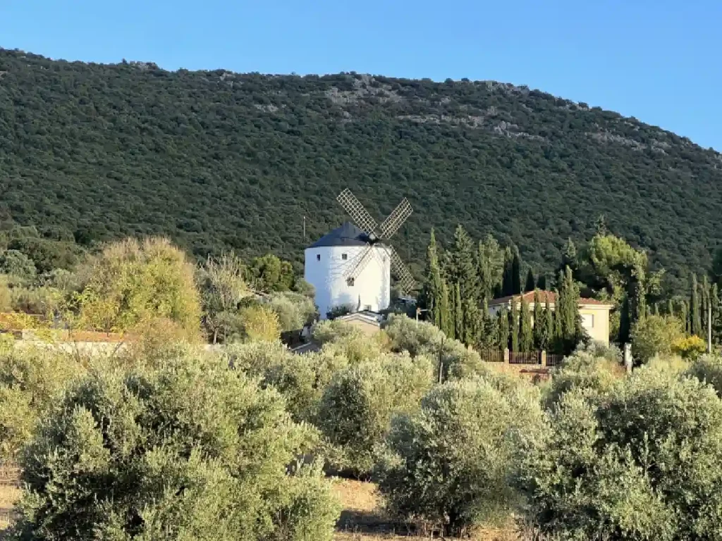 Molino de viento entre olivos en Puerto Lápice